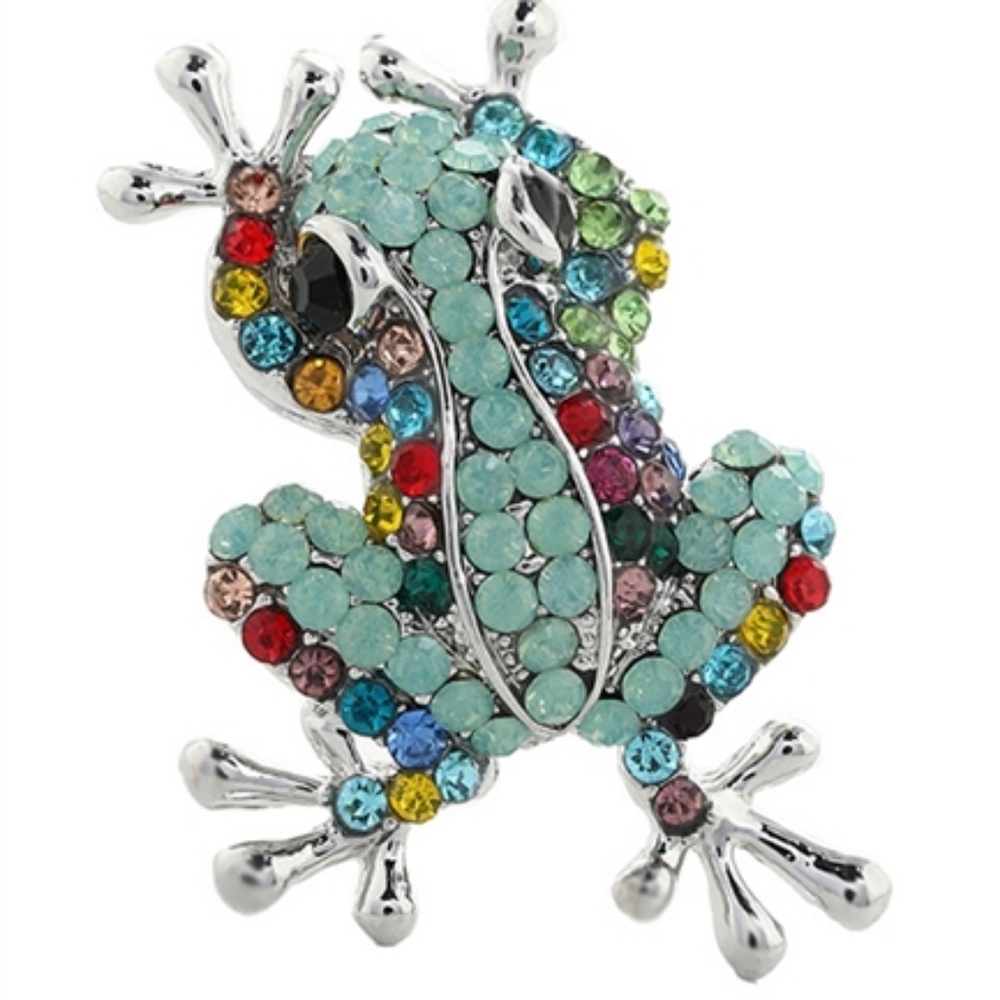 Froggy Brooch Pin And Pendant Combo